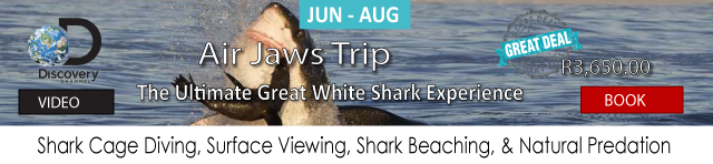Air Jaws Shark Cage Diving, Breaching & Natural Predation Tour