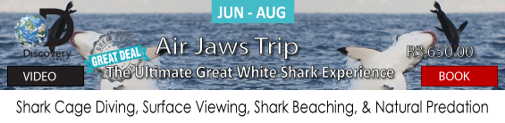 Air Jaws Shark Cage Diving, Breaching & Natural Predation Tour