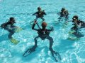 Discover Scuba Course Ocean