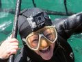 Afternoon Shark Cage Diving False Bay SD