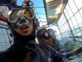 Shark Cage Dive Gansbaai Charter Adult