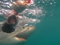 Shark Cage Dive Gansbaai SD Adult