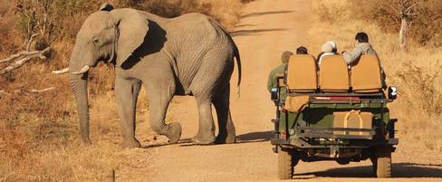 Safari Inverdoorn O/N TRF Adult Standard