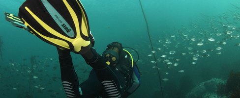 Discover Scuba Course Ocean