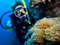 Discover Scuba Course Ocean Day Tour Incl. Transfer