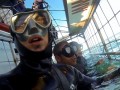Morning Shark Cage Diving False Bay TRF Day Tour Incl. Transfer